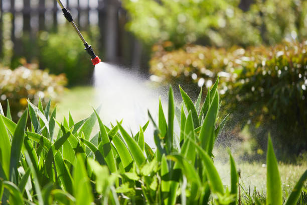 24/7 Emergency Termite Control experts in Prairie City, IA
