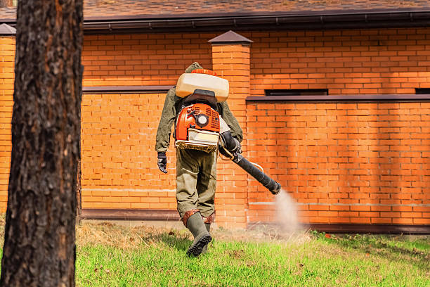 Trusted Cockroach Control service in Prairie City, IA - Nex Pest Control